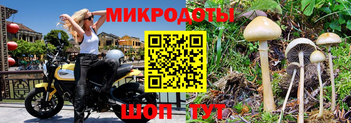 Псилоцибиновые грибы ЛСД Донской